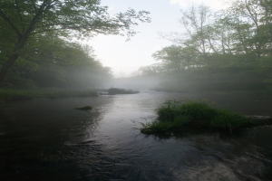 Wasser unten mit Grün im Hintergrund.