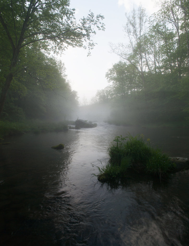Wasser unten mit Grün im Hintergrund.