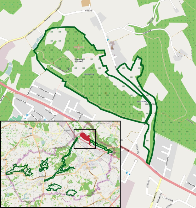 Eine Stadtkarte mit einem roten Kreis, der den vorgeschlagenen Standort markiert, und Text unten für weitere Details.