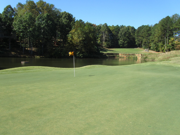 Eine friedliche Landschaft mit einem See, umgeben von verschiedenen Pflanzen, Bäumen und Gras.