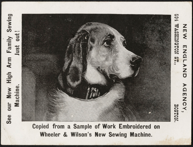 Ein Blatt mit einer Hundedarstellung und Text in der Mitte.