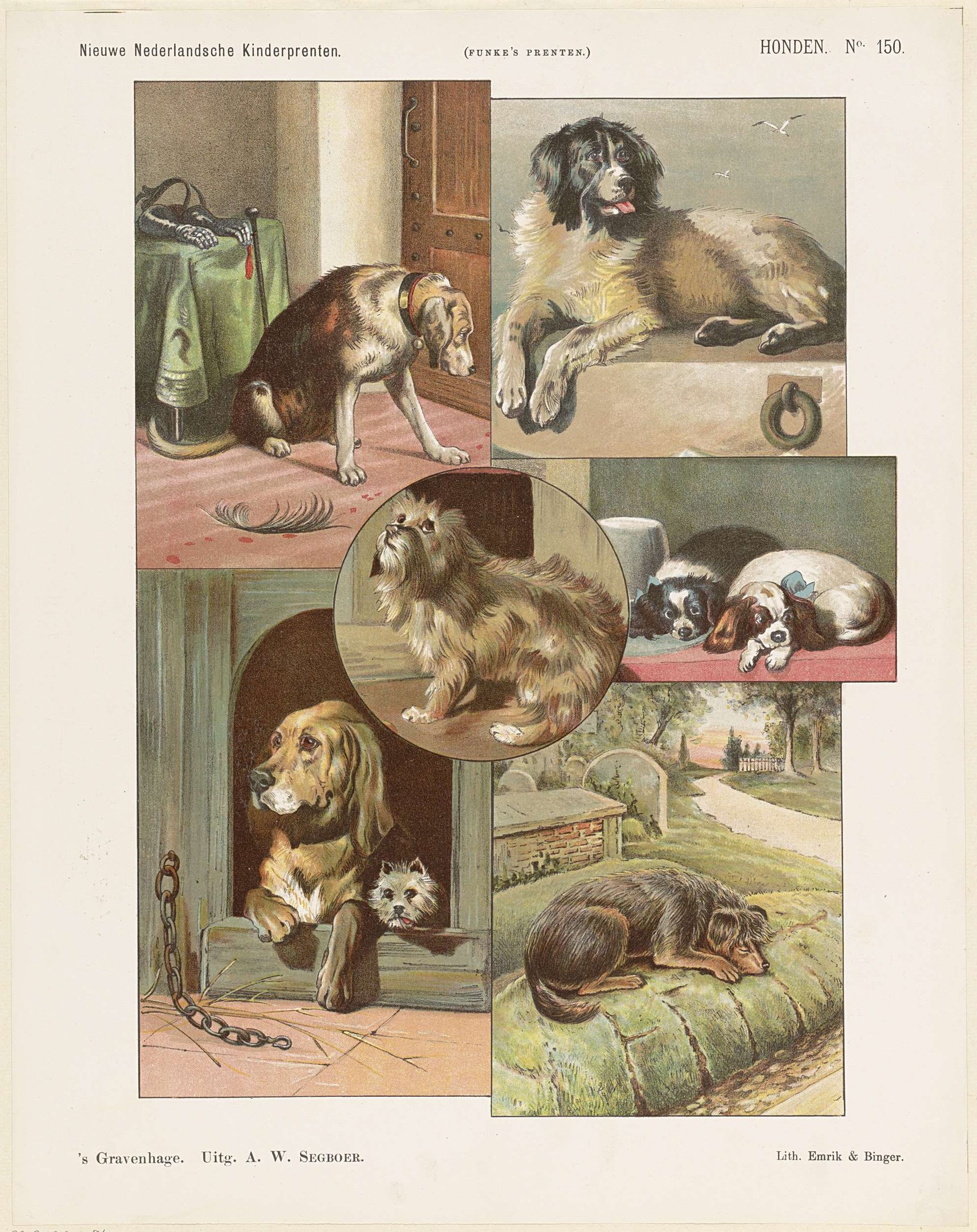 Eine Buchseite mit verschiedenen Hunderassen und begleitenden Textbeschreibungen.