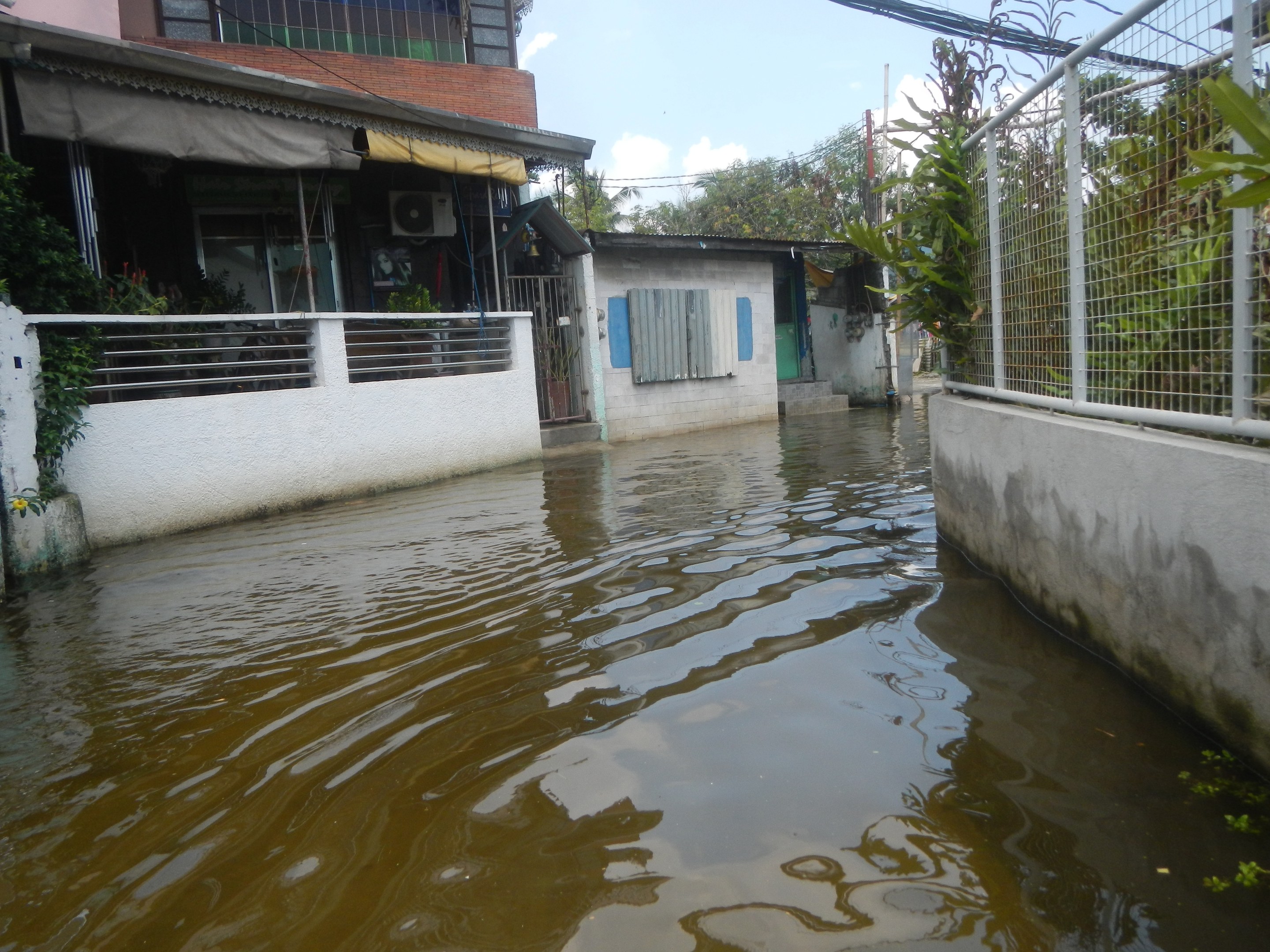 Eine überflutete Wohnstraße mit Wasser, das den Boden, Wände, Geländer, Pflanzen, Bäume und Gebäude bedeckt, ein Zaun auf der rechten Seite und bewölkter Himmel im Hintergrund.