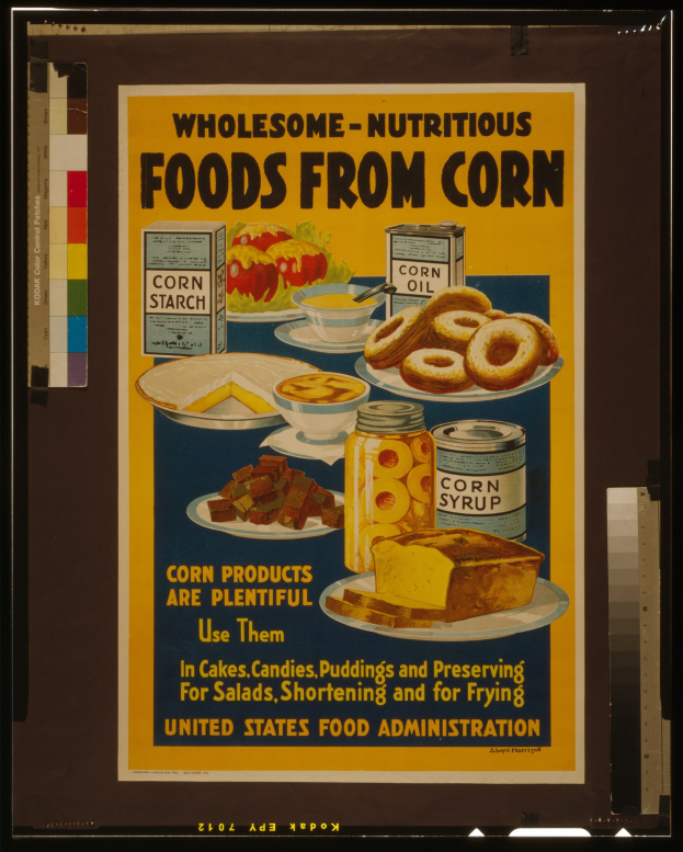 Buntes Plakat aus der United States Food Administration mit Abbildungen von Obst, Gemüse, Getreide und Milchprodukten und der fetten schwarzen Schrift "Gesunde-Nährstoffe aus Mais" auf hellblauem Hintergrund.