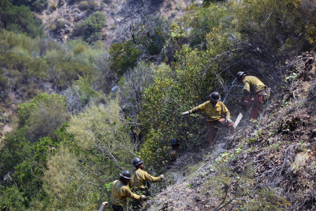 Eine Gruppe von Feuerwehrmännern in Helmen klettert einen von Bäumen und Pflanzen umgebenen Hügel hinauf.