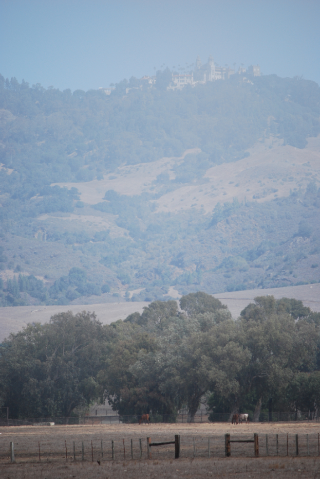 Ein Feld mit Pferden, das von einem Zaun umgeben ist, mit Bäumen, einem Berg und dem Himmel im Hintergrund.