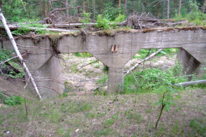 Eine alte, zerfallene Betonbrücke in einem Wald, umgeben von Bäumen und Pflanzen, mit zerbrochenem Holz und Schutt drumherum.