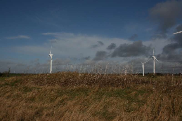 Ein Windturbinenfeld auf einer grasbewachsenen Fläche mit Bäumen im Hintergrund und Wolken am Himmel, mit Text, der den Standort als Niederlande angibt.