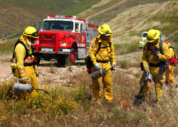 Feuerwehrleute in gelben Uniformen und Helmen stehen neben einem Löschfahrzeug auf einem grasigen Hügel, halten verschiedene Gegenstände in den Händen und haben blühende Pflanzen im Vordergrund und Hügel unter einem klaren blauen Himmel.