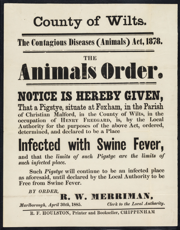 Ein Plakat mit Text, der eine Bekanntmachung nach dem Tierseuchengesetz von 1878 ankündigt, bezüglich der Afrikanischen Schweinepest in Wiltshire.
