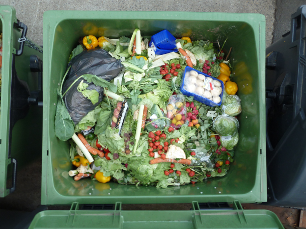 Ein grüner Recyclingmülltonne, der mit Karotten, Paprika, Zwiebeln, Tomaten und anderen Gemüse- und Obstsorten überquillt.
