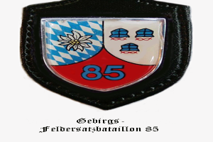 Ein Abzeichen mit der Nummer 85, das die bayerische Fußballmannschaft repräsentiert, mit deutschem Text unten.