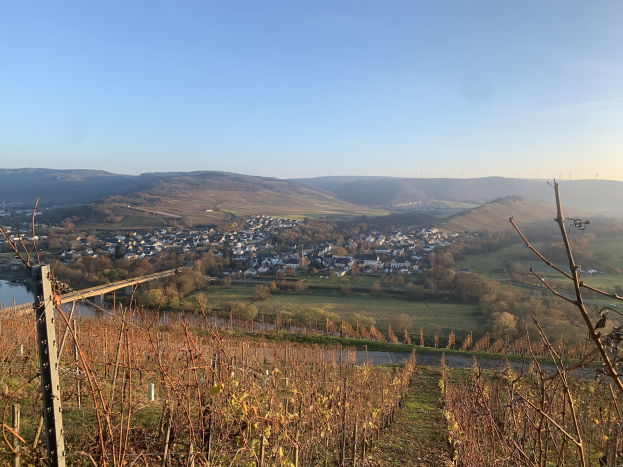 Eine malerische Aussicht auf das Rheintal von einem Hügel aus, mit grünem Laub, Häusern und einer Brücke über den Fluss unter einem blauen Himmel und sanften Hügeln im Hintergrund.