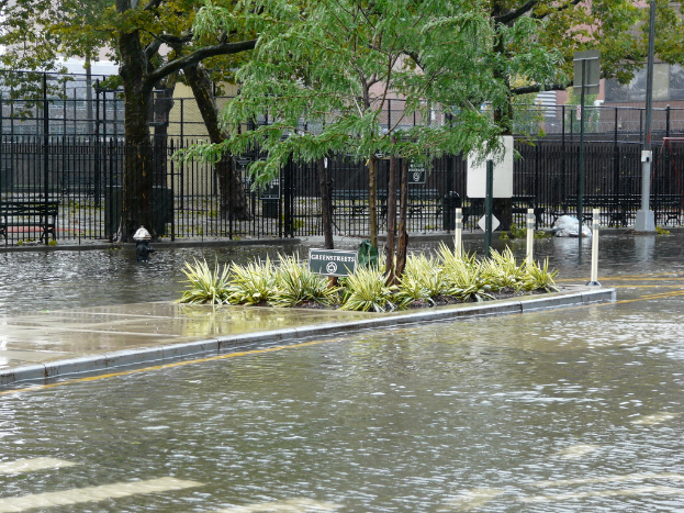 Pflanzen, Bäume und ein Brett in der Mitte, umgeben von Wasser auf der Straße, mit einem Zaun, einem Gebäude und zusätzlichen Pflanzen im Hintergrund.