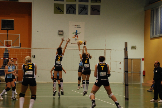 Ein Volleyballfeld mit spielenden Spielerinnen und Spielern, im Hintergrund sind ein Basketballkorb, Fenster und eine Tür zu sehen.