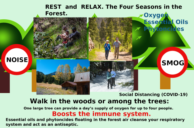 Plakat mit Bildern von Menschen, die durch einen bewaldeten Bereich mit einem Haus gehen, um Entspannung in der Natur mit dem Text "Ruhen und Entspannen die vier Jahreszeiten im Wald." zu fördern