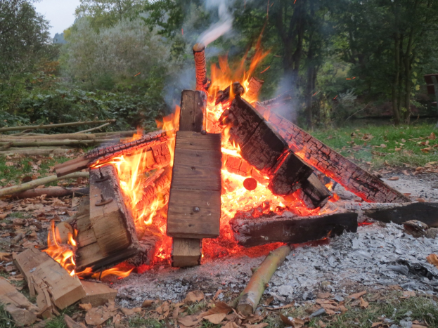 Lagerfeuer in einem bewaldeten Gebiet umgeben von Holzscheiten, Steinen und trockenen Blättern, mit Bäumen und einem klaren blauen Himmel im Hintergrund.
