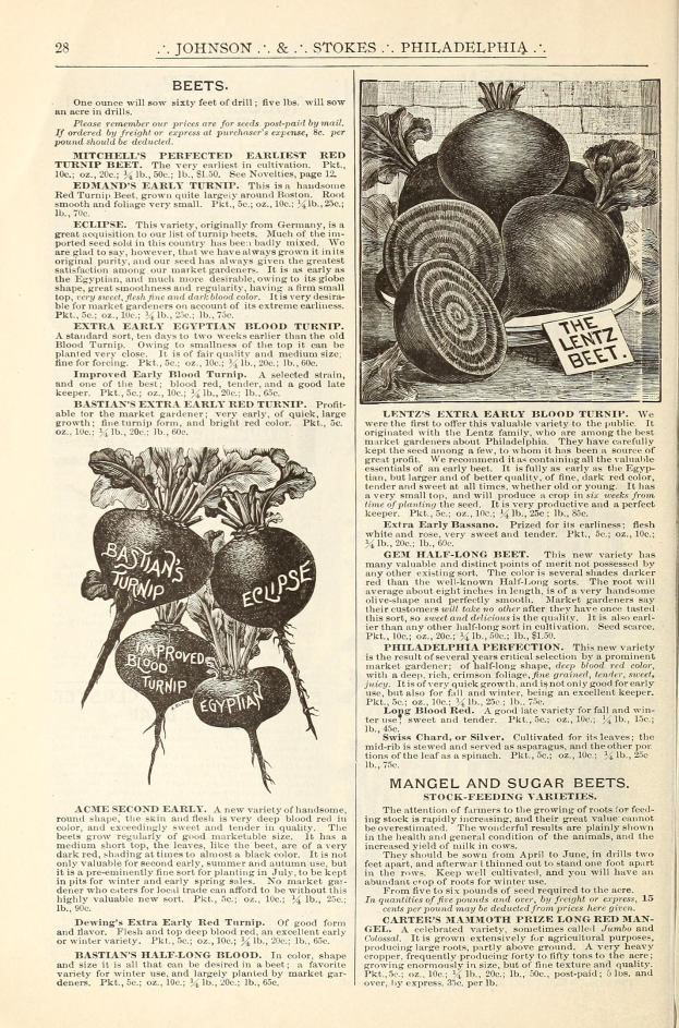 Offenes Buch mit Bildern und Text über Gemüse, darunter Rote Bete.