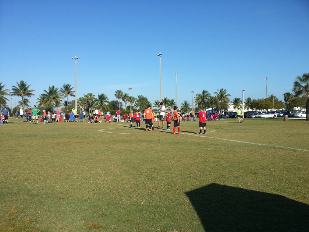 Eine Gruppe von Menschen versammelt sich in einem grasigen Spielplatzbereich mit Bäumen, Pfählen und Autos im Hintergrund.