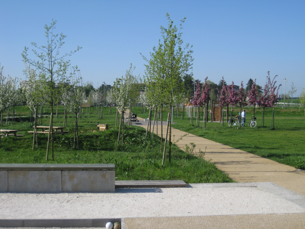 Ein Parkweg mit Bäumen und Bänken gesäumt, Menschen auf Fahrrädern, Gebäude und ein klarer blauer Himmel im Hintergrund und grüner Rasen auf dem Boden.