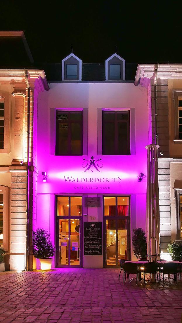 Ein Gebäude mit Fenstern und Türen, ein Schild mit der Aufschrift 'Walderdorf's Cafe & Restaurant in Stuttgart, Deutschland', Topfpflanzen, eine Gruppe von Stühlen und Tischen auf dem Boden, Pfosten und ein bewölkter Himmel.